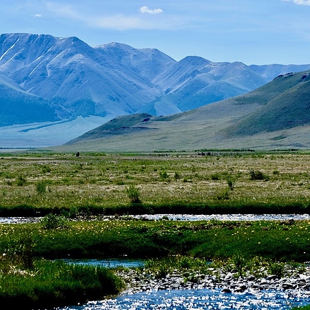 Заповедные краски Алтая